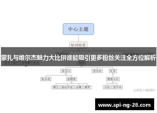 蒙扎与维尔杰魅力大比拼谁能吸引更多粉丝关注全方位解析
