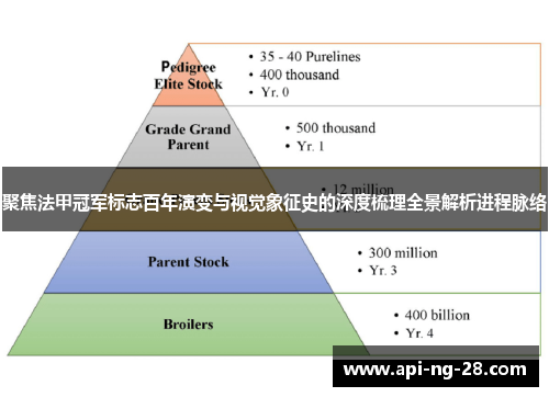 聚焦法甲冠军标志百年演变与视觉象征史的深度梳理全景解析进程脉络 聚焦法甲冠军标志百年演变与视觉象征史的深度梳理全景解析进程脉络