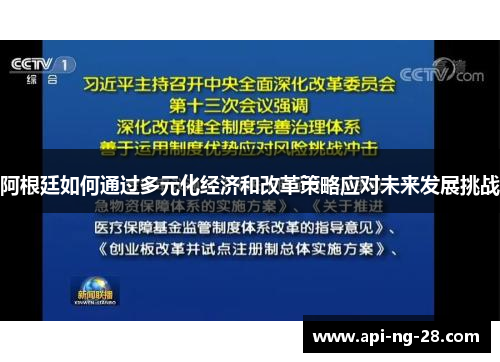 阿根廷如何通过多元化经济和改革策略应对未来发展挑战